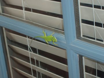 Cathies_first_seaside_pics_2007 017.JPG