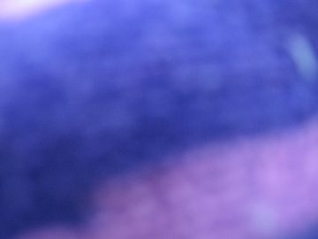 Late_Summer_2006 044.jpg