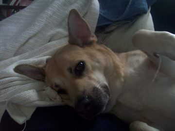 Natalie's pics 025.JPG