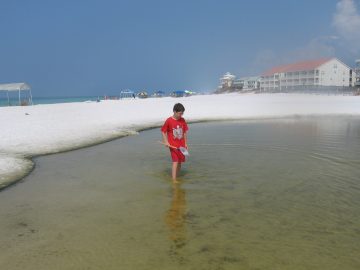 Seaside_big_waves_2007 019.JPG