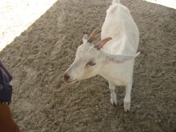 September_2009 004.JPG