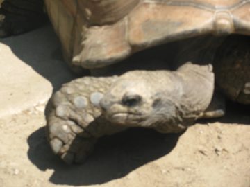 September_2009 008.JPG