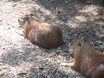 September_2009 009.JPG