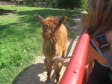 September_2009 014.JPG