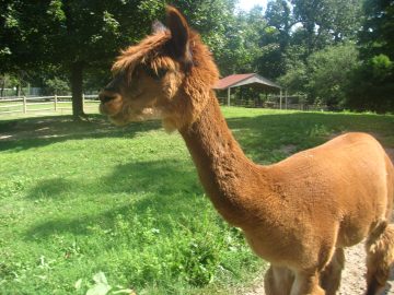 September_2009 015.JPG