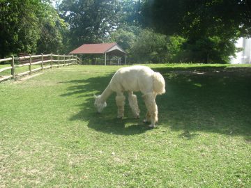 September_2009 017.JPG