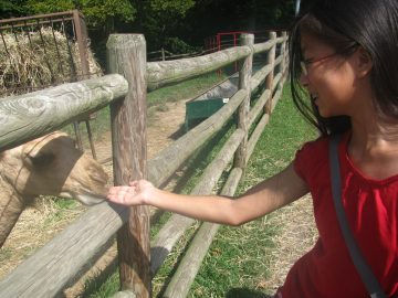 September_2009 019.JPG