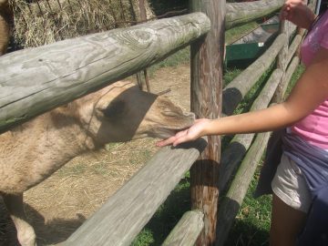 September_2009 020.JPG