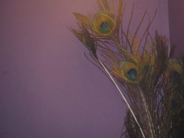 September_2009 093.JPG