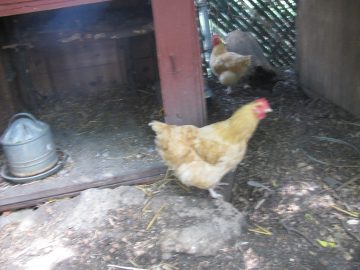 September_2009 115.JPG