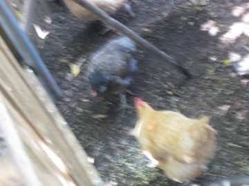 September_2009 117.JPG