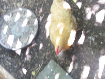 September_2009 118.JPG