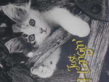 spring 2009 racael 006.JPG