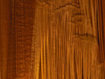 Rachaels_Spring_2009 011.JPG