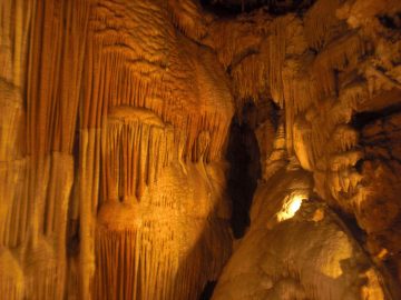 Rachaels_Spring_2009 012.JPG