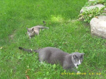 Summer_Vacation_2008 002.JPG