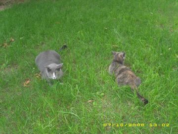 Summer_Vacation_2008 003.JPG