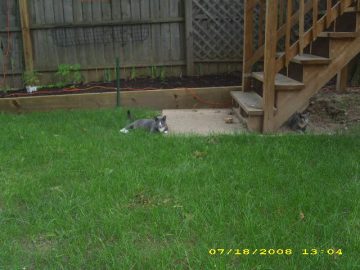 Summer_Vacation_2008 004.JPG