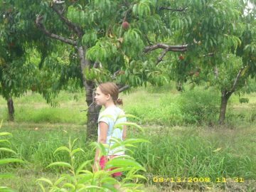 Summer_Vacation_2008 113.JPG