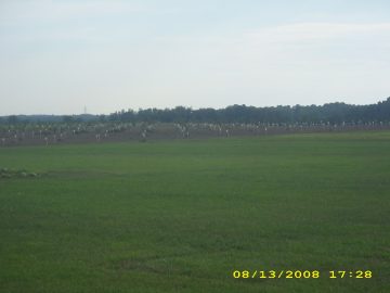 Summer_Vacation_2008 139.JPG