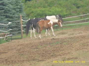 Summer_Vacation_2008 143.JPG