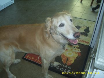 Summer_Vacation_2008 145.JPG