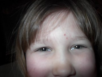 pictures february 002.jpg