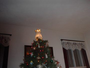 rachael pictures 2004 005.jpg