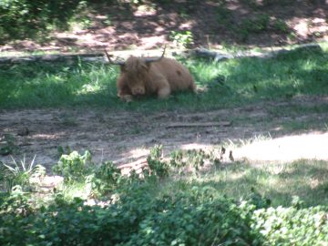 September_2009 186.JPG