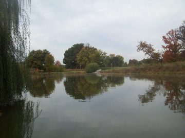 Natalie's pics 064.JPG