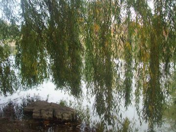 Natalie's pics 067.JPG