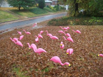 Natalie's pics 073.JPG