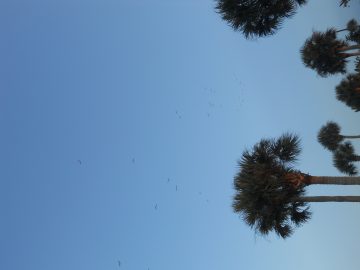 Rachaels freaking photos. 2011 041.JPG