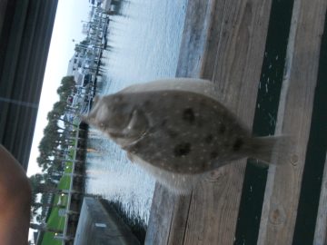 Rachaels freaking photos. 2011 043.JPG