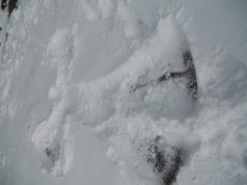 Rachaels freaking photos. 2011 082.JPG