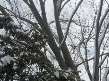 Rachaels freaking photos. 2011 084.JPG