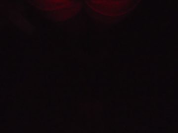 asdfghjklkhgfdsa 031.JPG