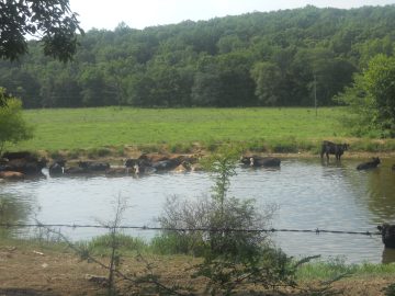 abcdefgasdfghjkl 019.JPG