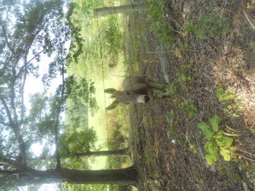 abcdefgasdfghjkl 020.JPG