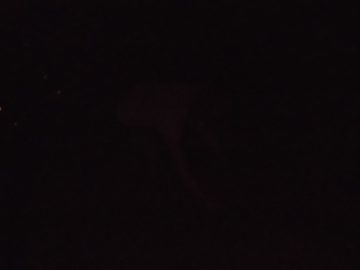 asdfghjklkhgfdsa 067.JPG