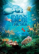 imax_under_the_sea_4f9ead1e_137.jpg