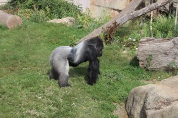 Lori's Pictures 064.JPG