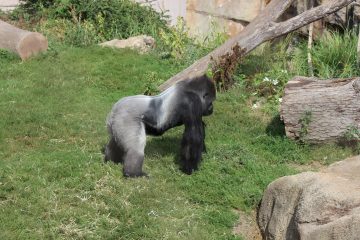 Lori's Pictures 065.JPG