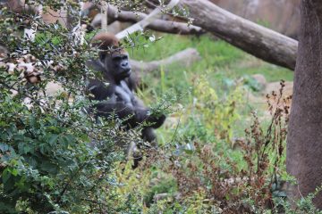 Lori's Pictures 067.JPG