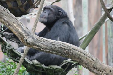 Lori's Pictures 075.JPG