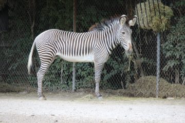 Lori's Pictures 079.JPG