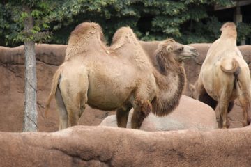 Lori's Pictures 081.JPG