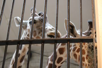 Lori's Pictures 089.JPG