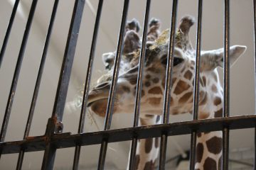 Lori's Pictures 090.JPG