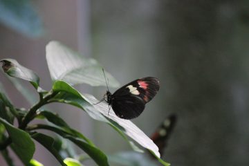 Lori's Pictures 098.JPG